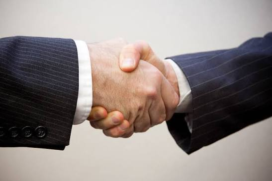 Two professionals shaking hands